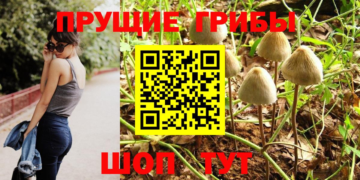 закладки  Галлюциногенные грибы Cubensis  Вход с VPN  Ипатово  Галлюциногенные грибы Cubensis 